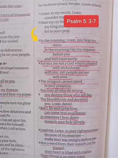 Daily Bible Verse: Insights and Words of Wisdom