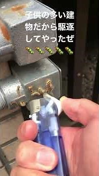 茶毒蛾【チャドクガ】