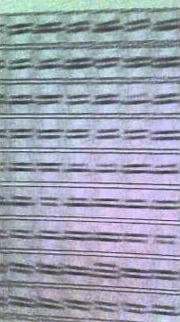 Byron Kim Synecdoche - a Different View