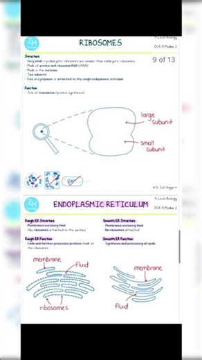 Biology easy language notes cells parts
