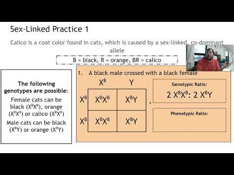 Sex-Linked Inheritance