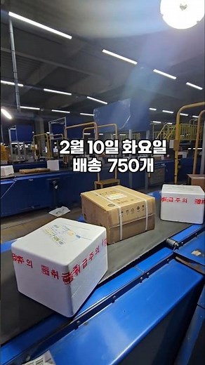 하루택배 58만원 가능할까??..#택배 #택배기사 #Cj #대한통운