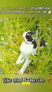 How to optimize supply chain logistics? Just-in-Time manufacturing. Reducing inventory costs like Toyota. #Logistics #Business #Management #Efficiency #filmclips #CrimeStory #trendingreels ​#businessannouncement #TechNews #CinemaInsights #RealityCheck ​#digitalcreator #LegalFacts #BrainPower #tatasierra ​#localtalent | Cinema Insights