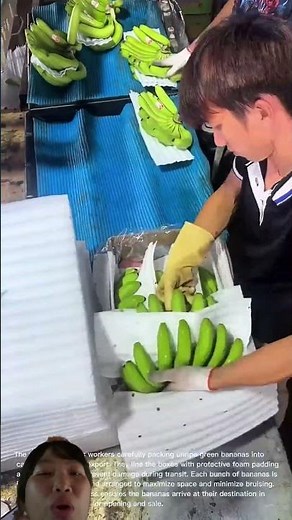 How to pack bananas very beautifully and very quickly