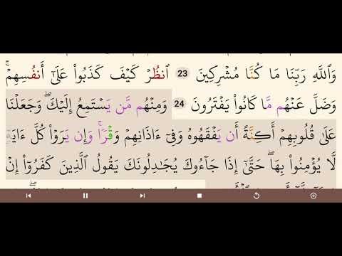 6 Surah Al Anam | Mishary Rashid Al Afasy | Quran Page In Arabic Reading