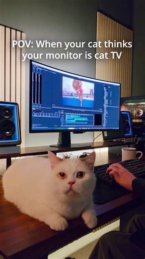 Curious paws? No worries.🐾With DarkArmor Film, MSI QD-OLED monitors come with 2.5x scratch resistance, so those little moments feel a bit less scary.🐾MPG 341CQR QD-OLED X36🐾MPG 322UR QD-OLED X24Join the giveaway to win yours👉 https://t.co/3nXxN6StVR#AscendYourVision