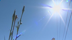Heat wave readiness: Tacoma prepares for new normal of climate change
