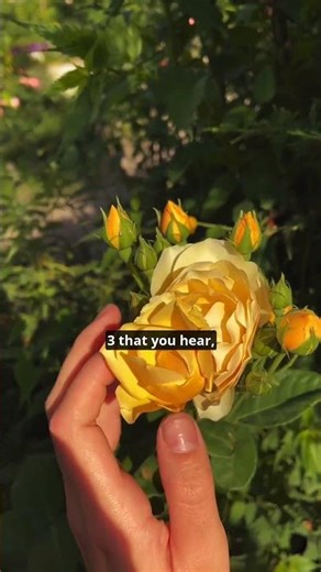 Grounding tips for anxiety relief