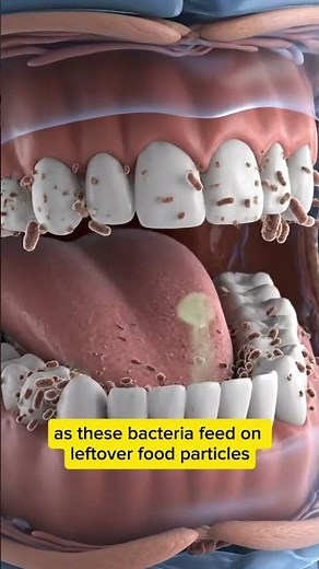 Why Your Breath Smells Bad 🤢 The Science Behind Bad Breath #Shorts