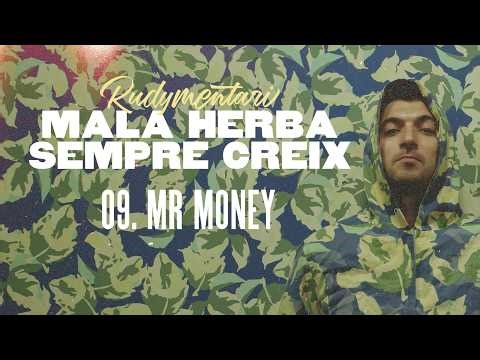 Rudymentari - Mr Money