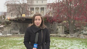 Absolute discharge in Vernon mischief case involving homemade spike belt