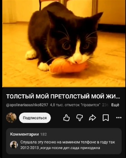 С точки зрения научной систематики, домашняя кошка — млекопитающее семейства кошачьих отряда хищных. Одни исследователи рассматривают домашнюю кошку как подвид дикой кошки[5], другие — как отдельный биологический вид[6]. Являясь одиночным охотником на грызунов и других мелких животных, кошка — социальное животное[7], использующее для общения широкий диапазон звуковых сигналов, а также феромоны и движения тела[8]. В настоящее время в мире насчитывается около 600 млн домашних кошек[9], выведено ок