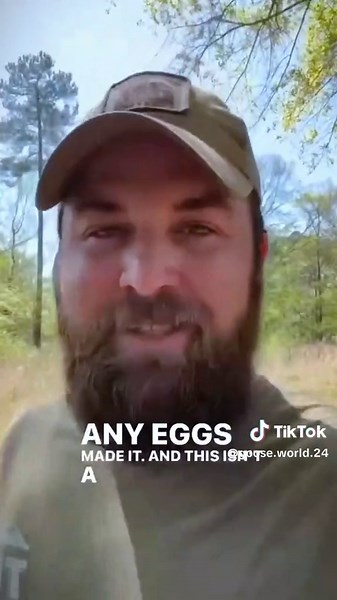 Goose World on TikTok