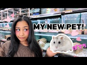 Buying a Pet Hamster in Japan!! Come To The Pet Store With Me