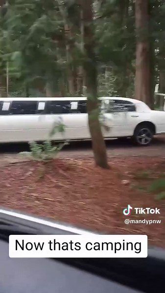 Exploring Friendship Ideas in Camping