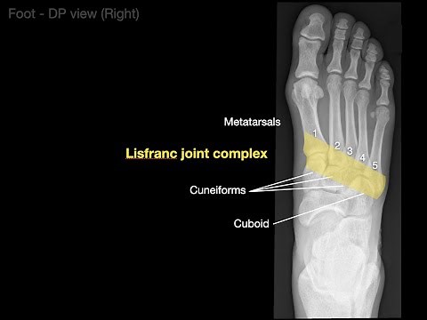 Anatomy of Foot X-rays