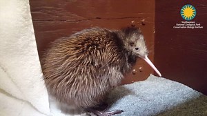 23K views · 1.6K reactions | The Smithsonian Conservation Biology...