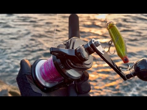【okuma-Tenma Lever Drag Reel】お気に入りルアー無くした#タックルハウス#フィードポッパー#MCワークス#モンスターゲーム9#エクスセンス#RBB#カツオドリキャスティング