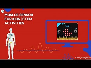 EMG (Electromyography) Tutorial | Micro bit | STEM activity