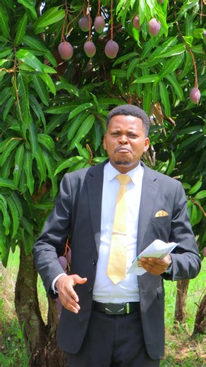 𝗕𝗨𝗜𝗟𝗗 𝗬𝗢𝗨𝗥 𝗟𝗘𝗚𝗔𝗖𝗬 𝗜𝗡 𝗦𝗔𝗚𝗔𝗡𝗔✍️ Tulivu Garden Phase 5 — only 500m from the Kenol–Marua Highway and right by Kwa V Shopping Centre — offers unbeatable investment value. Secure your 50x100 plot for Ksh 600,000 (Title Deed Inclusive). Investment highlights: 📈 Rapidly developing area 🔐 Fenced & gated community 🚧 Ready for development 🏬 Social amenities already in place 🚗 FREE site inspection 📞 0792 444 222 🌐 www.uwezolandlimited.co.ke | Uwezo Land Limited