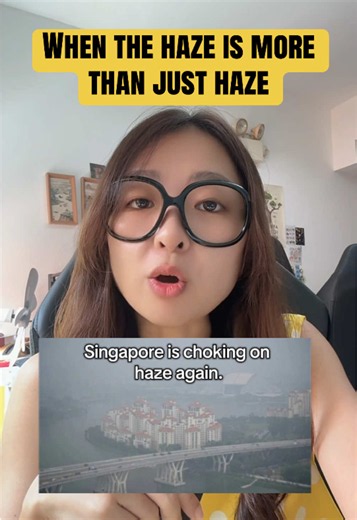 How to Stop the Haze: Practical Actions for Individuals, Businesses and Governments