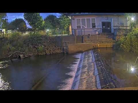 Issaquah SalmonCam