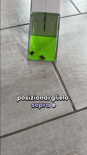 Catch Bugs 🪲 | USEFUL PRODUCTS FOR INSECTS