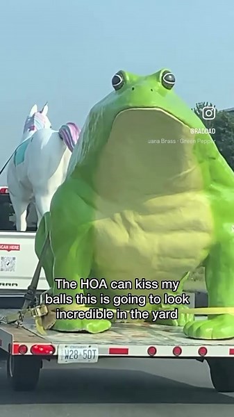 Anyone else miss the Budweiser frogs #frog #funny