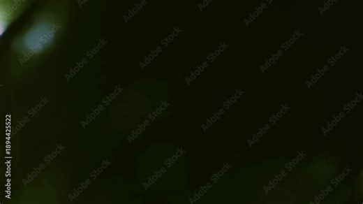 Light Bokeh Transition, Silent Night Black Frames Slowly Fade Across Screen, suitable for ending scenes, slow fades, and closing credits backgrounds.