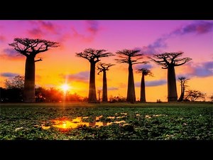 13 HOURS Morning Relaxing Music, Remove Negative Thoughts & Emotions, Sleep Music