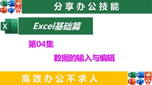 EXCEL 数据魔法教程：轻松输入与编辑