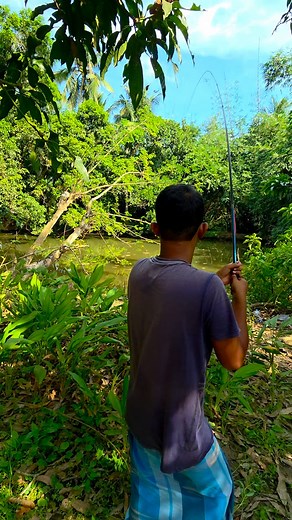 Big Beluga Sturgeon or giant freshwater stingray Caught in River | Kolkata Fishing