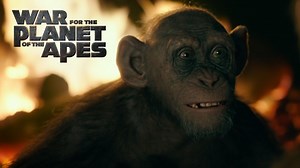Meet Bad Ape, Steve's Zahn's Neurotic, Lonely War for the Planet of the Apes Character