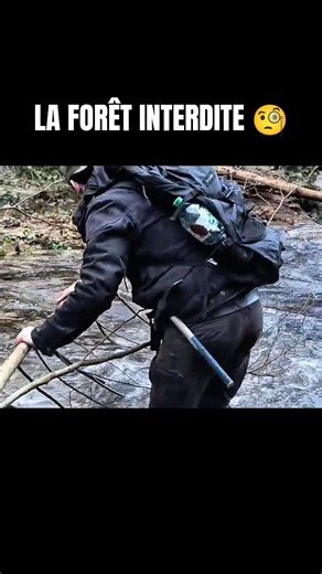 Perdu dans cette FORÊT des plus HOSTILE, nous tentons de RETROUVER notre chemin
