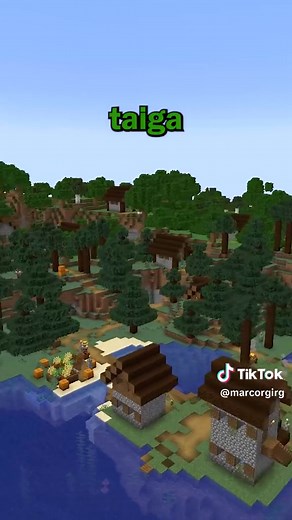 How to Find Every Type of Village in Minecraft 1.20!