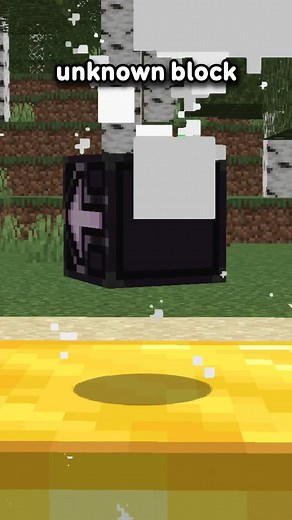 What is the Most Unknown Block In Minecraft_ #minecraft #minecraftpe #minecraftmemes #minecraftpc #minecrafter #minecraftdiaries #minecraftserver #minecraftxbox #minecraftskin #minecraftmeme #minecraftuniverse #minecraftanimation #minecraftskins #minecraftdaily #minecraftbuild #minecraftstorymode #minecraftsurvival | Makaze Gaming