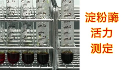 【实验】淀粉酶活力测定实验操作和原理，数据分析