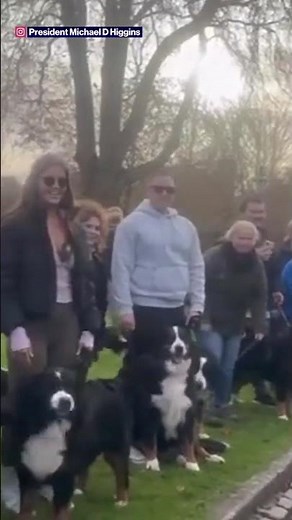Ireland farewells outgoing President with parade of his fave dogs
