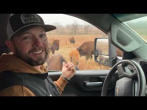 Learning about bison at Cross Timbers Ranch