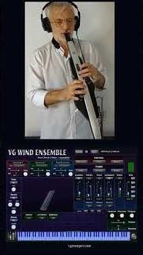 VG Wind Ensemble Virtual Instrument - Sound Showcase, Wind & MIDI Controllers, VST, Standalone app