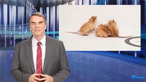 Colossal Biosciences Unveils “Woolly Mouse,” Sparking Curiosity in Kids and Scientists Alike