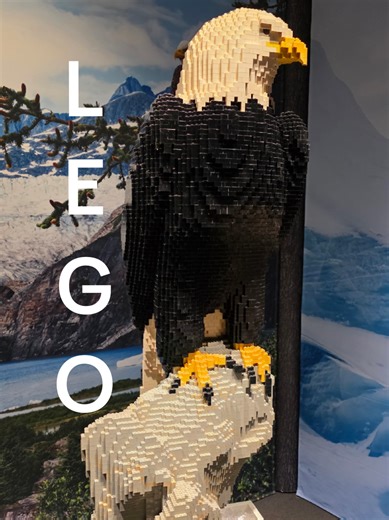 Exploring the LEGO Exhibit at Denver Museum of Nature and Science