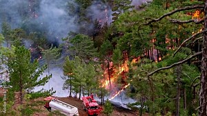 Fire fighters with safety equipment, fire in forest. Firefighters are helping extinguish forest fires.Wildfire fire trucks.View forest fire on the slopes of hills and mountains.
