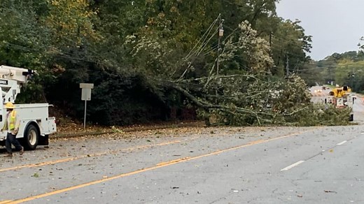 What to do if a tree falls on your home or property
