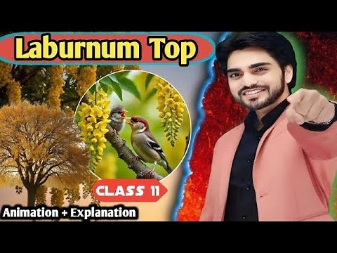 The Laburnum Top || Class 11 English || Poem | Full Explanation By dear sir with summary Ques / ans