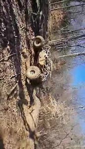 3.3K views | Blue Holler Offroad Park on Reels | Facebook