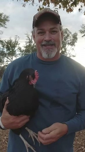 Meet Our Adorable BLIND CHICKEN! #SHORTS
