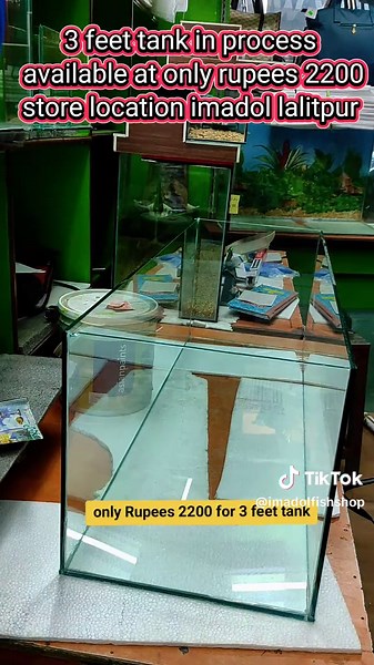 Imadol Fish Shop: Affordable 3 Feet Fish Tanks