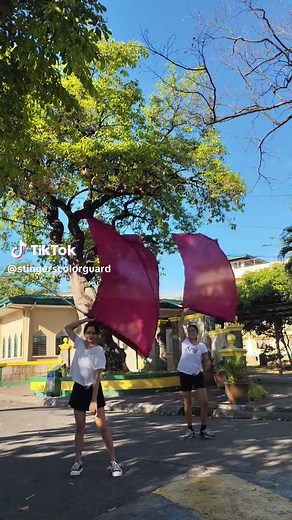 Flag Routine - Color Guard Performance and Marching Band Entertainment
