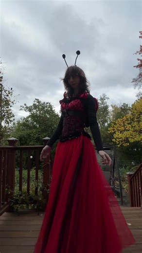 happy halloween from your local ladybug